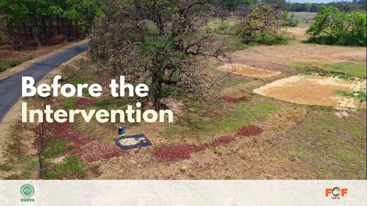 Before the Intervention